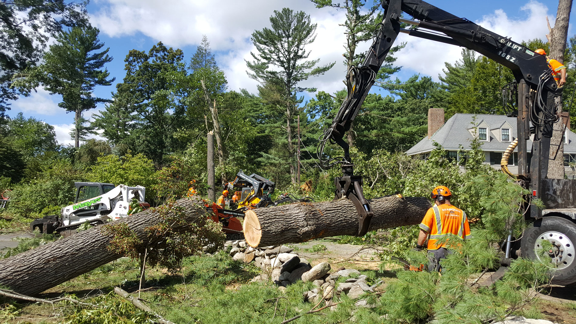 tree pruning Melbourne