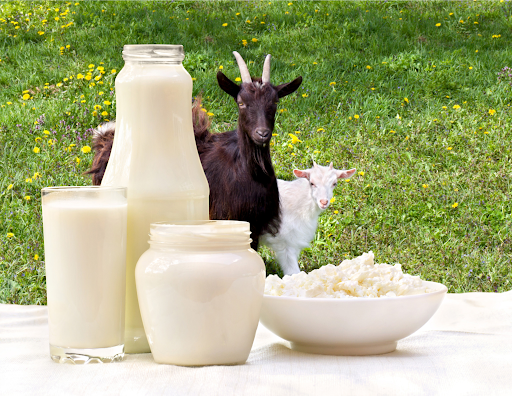 Goat Milk Formula