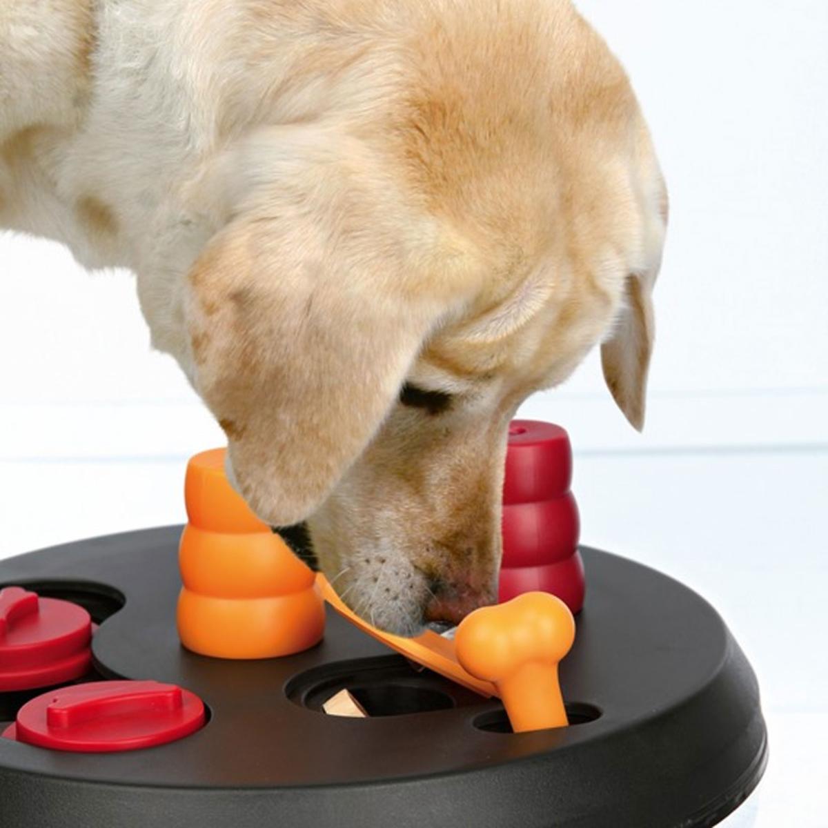 dog toys puzzles