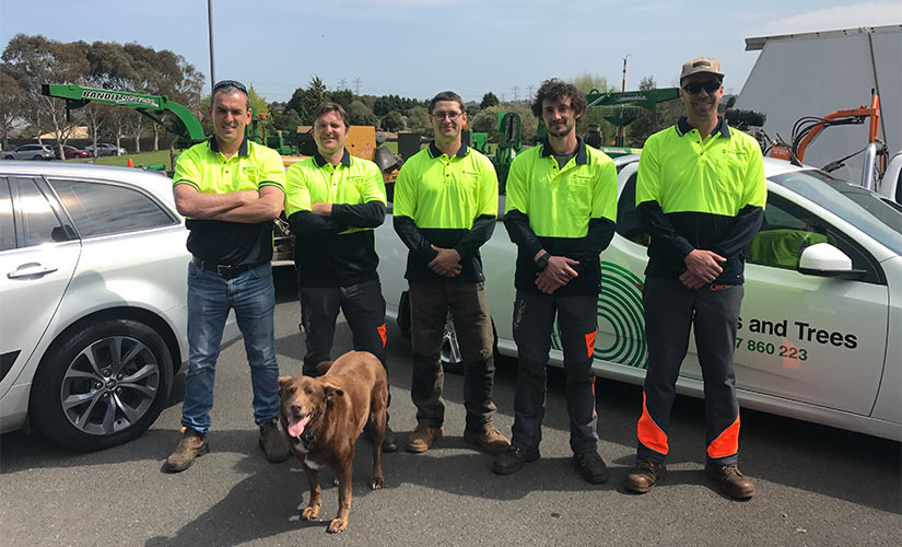 tree pruning Melbourne