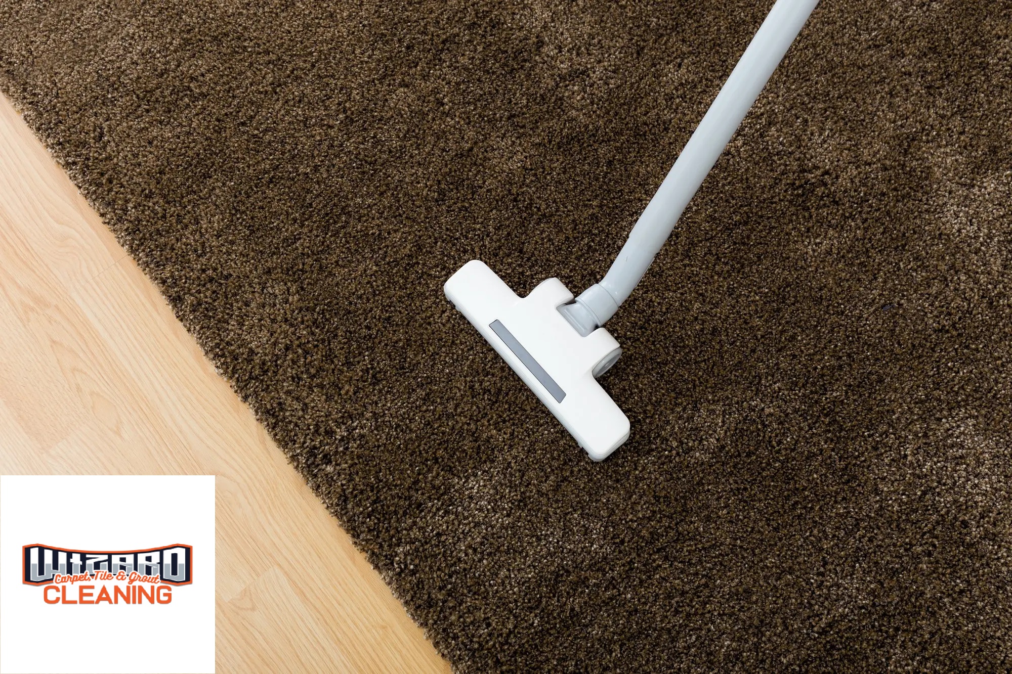 How do professional carpet cleaning services preserve your carpets?
